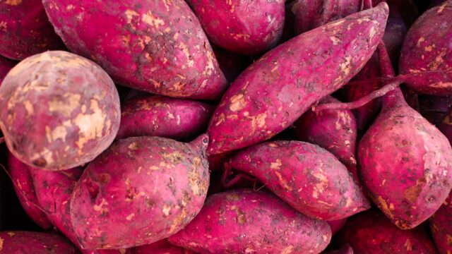 close up photo of sweet potatoes