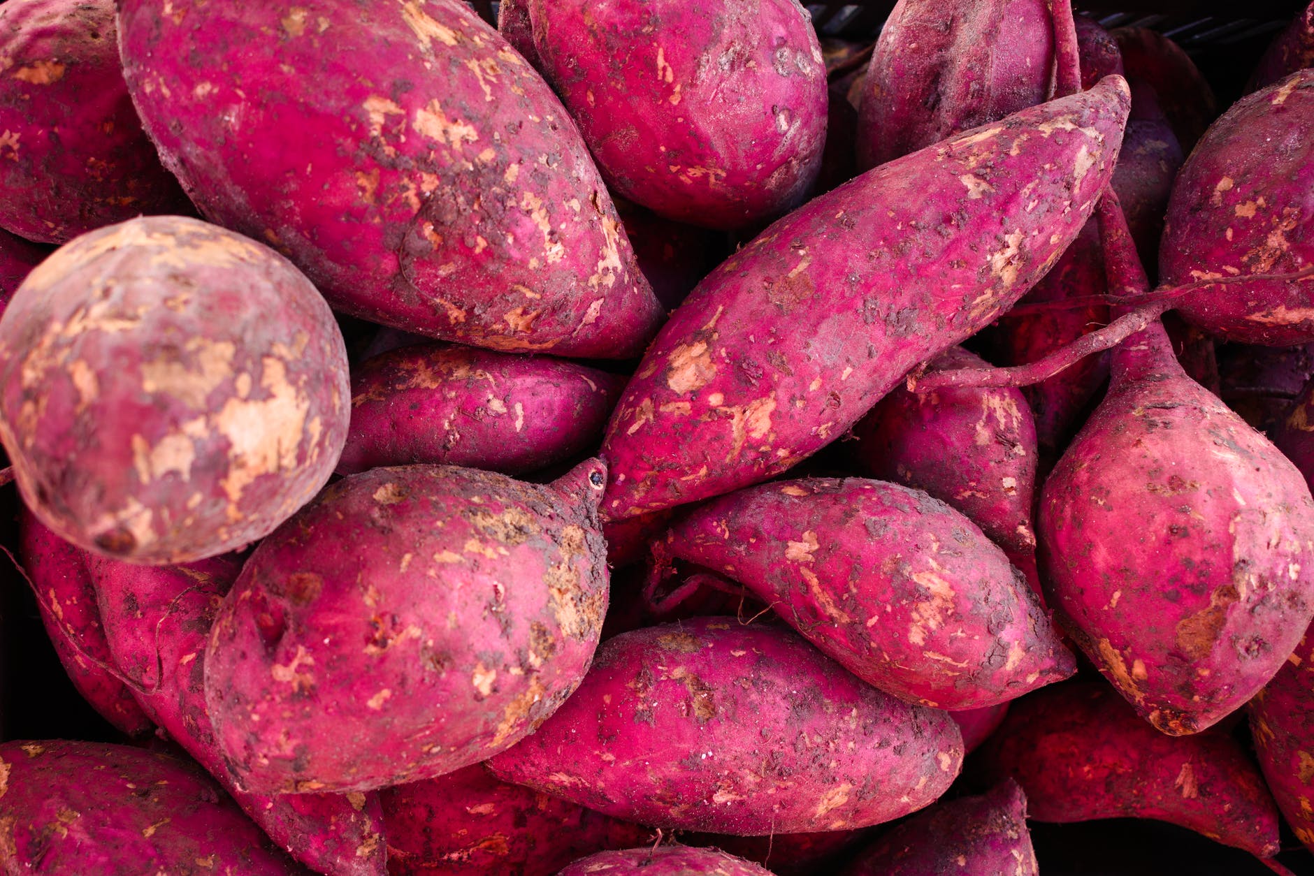 close up photo of sweet potatoes